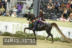 24R13_15755 proof
