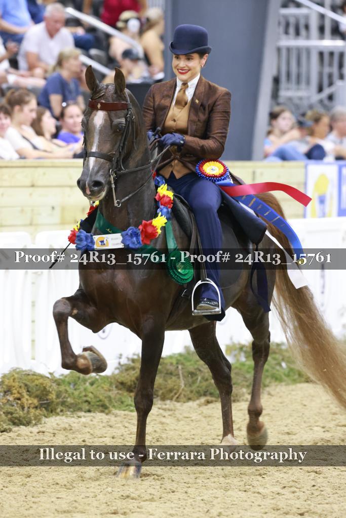Proof 24R13_15761