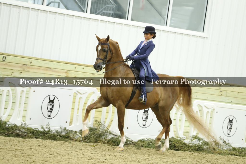 Proof 24R13_15764