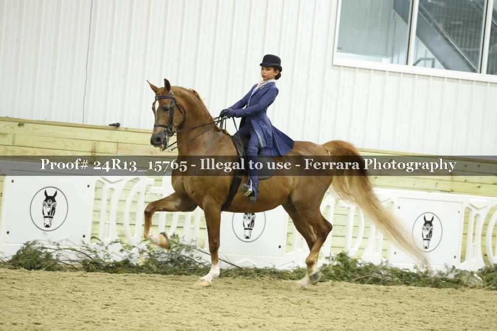 Proof 24R13_15765