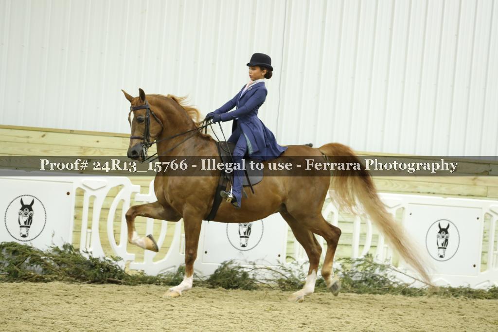 Proof 24R13_15766