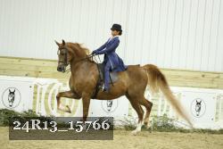 24R13_15766 proof