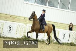 24R13_15767 proof