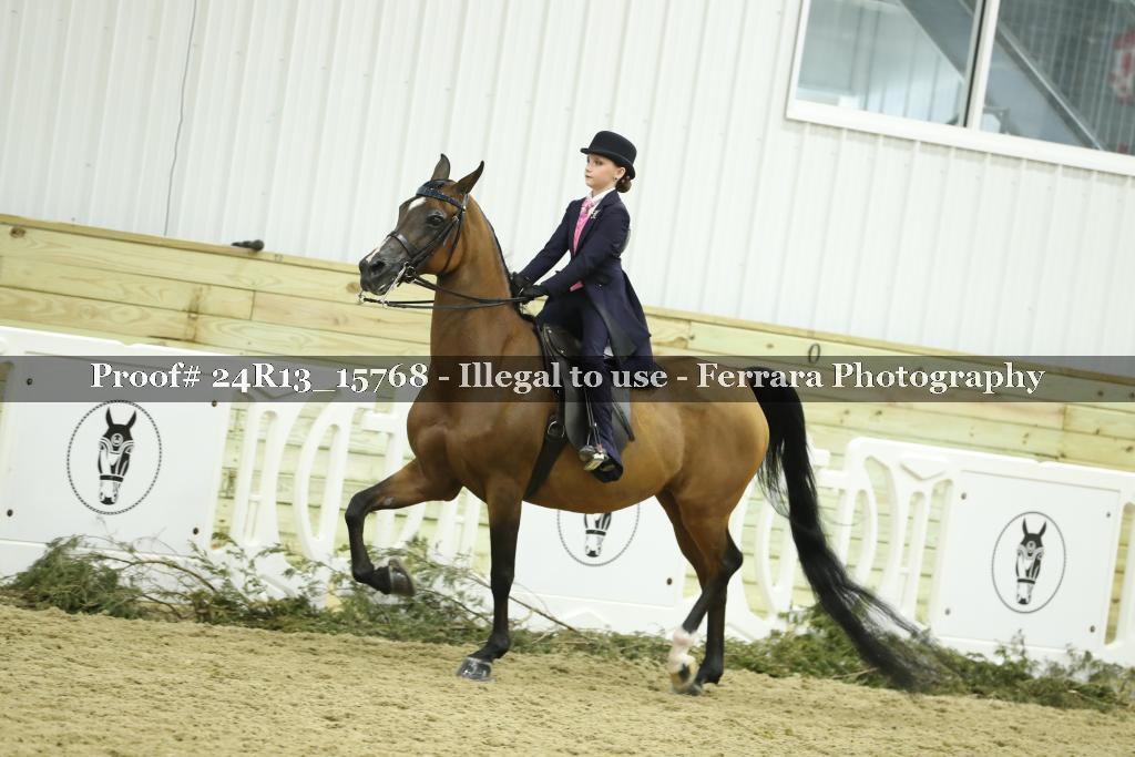 Proof 24R13_15768