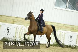 24R13_15768 proof