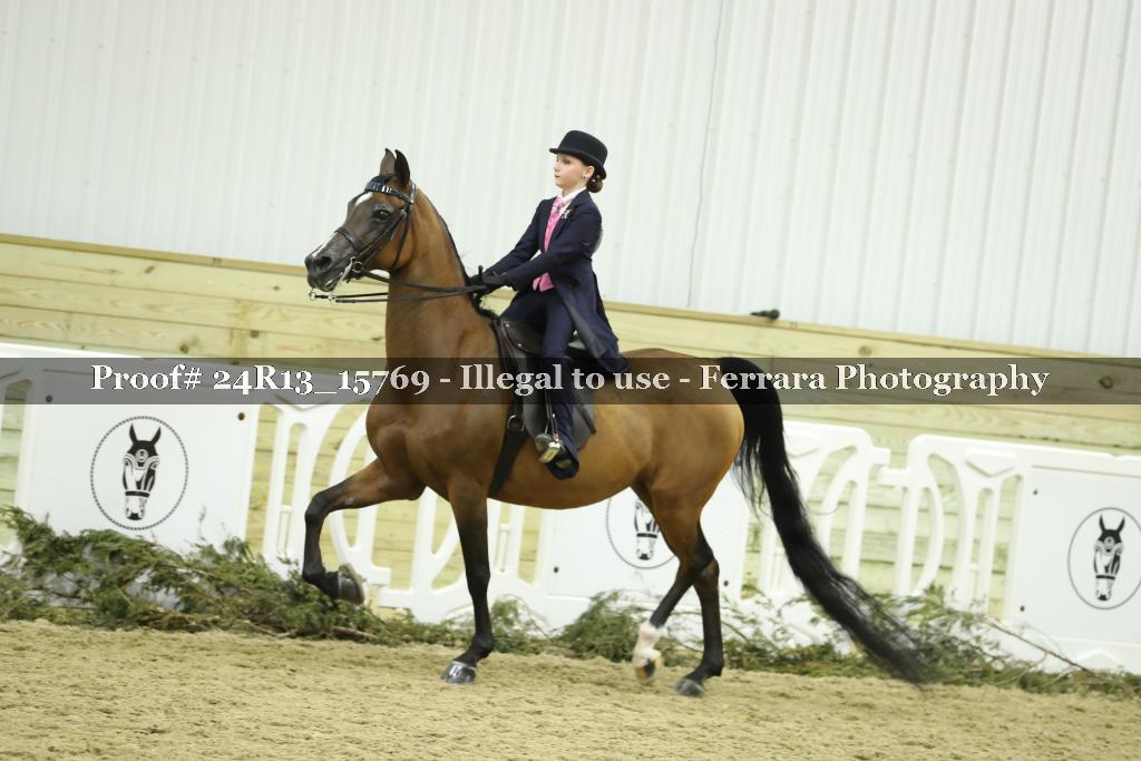 Proof 24R13_15769