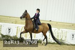24R13_15769 proof