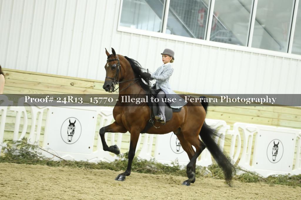 Proof 24R13_15770