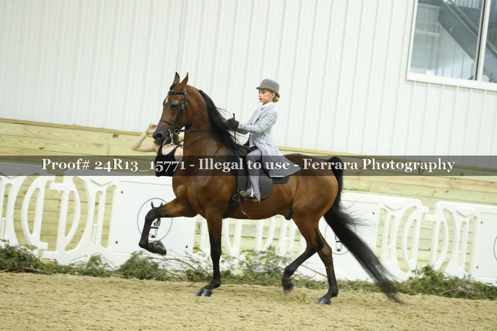 Proof 24R13_15771