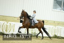 24R13_15771 proof