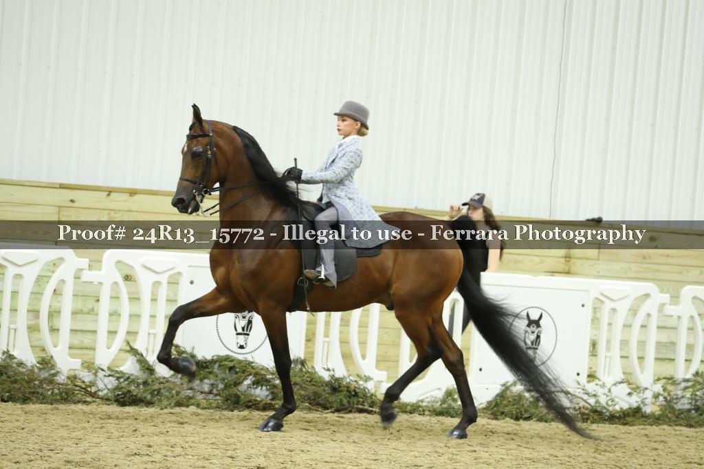 Proof 24R13_15772