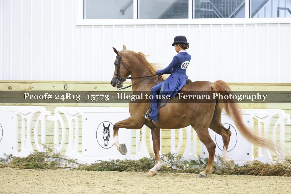 Proof 24R13_15773