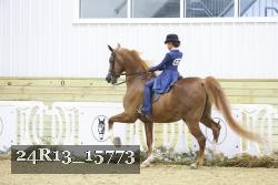 24R13_15773 proof