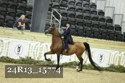 24R13_15774 proof