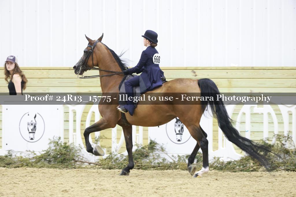 Proof 24R13_15775