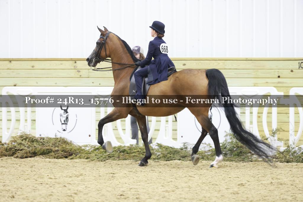 Proof 24R13_15776
