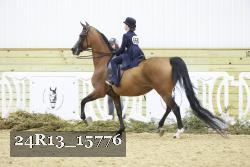 24R13_15776 proof