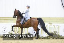 24R13_15780 proof