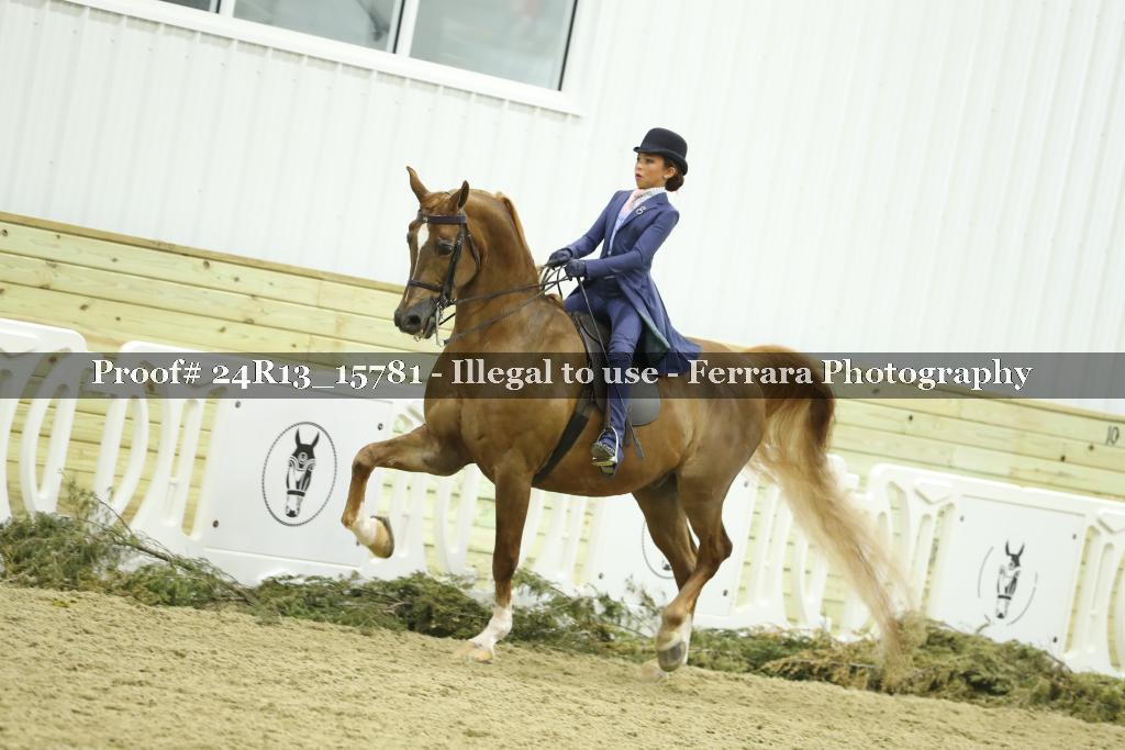 Proof 24R13_15781
