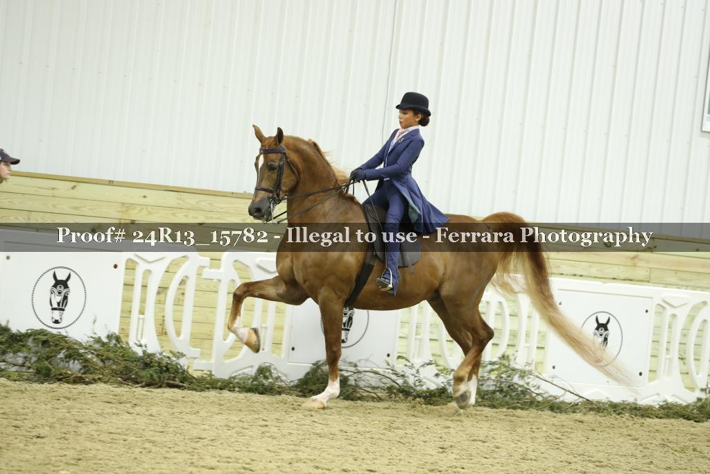 Proof 24R13_15782