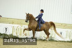 24R13_15782 proof