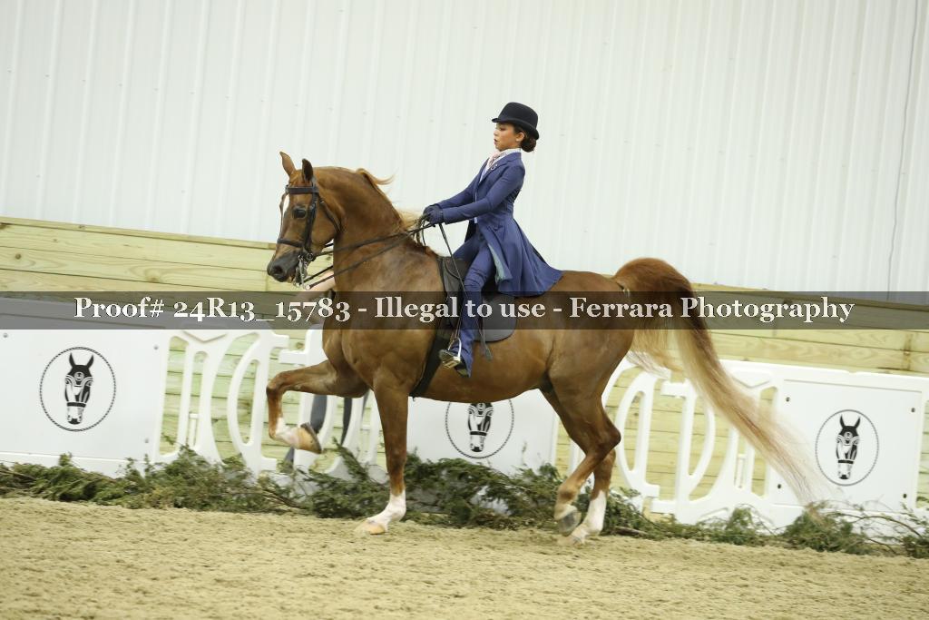 Proof 24R13_15783