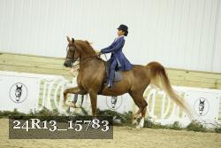 24R13_15783 proof