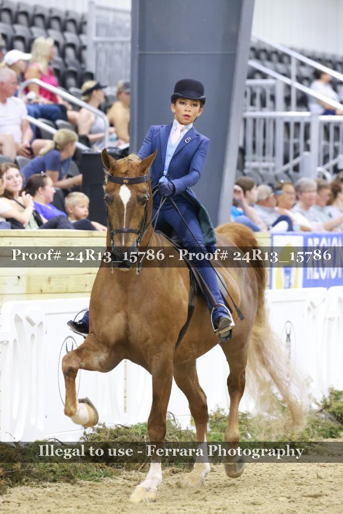 Proof 24R13_15786