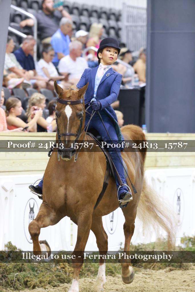 Proof 24R13_15787