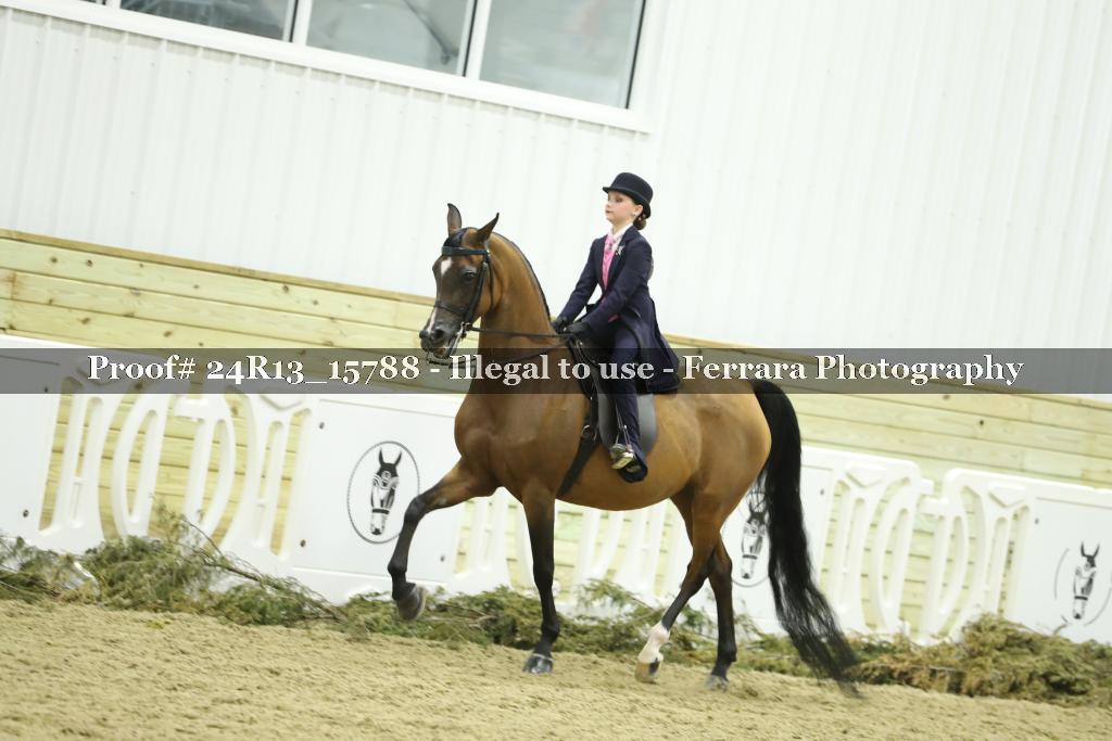 Proof 24R13_15788