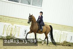 24R13_15788 proof