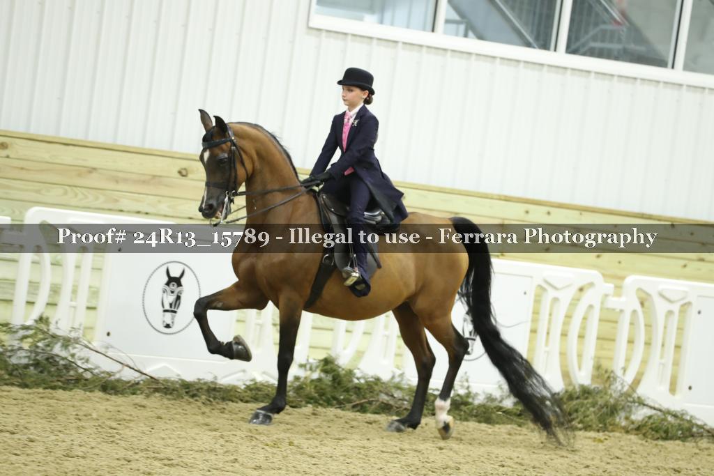 Proof 24R13_15789