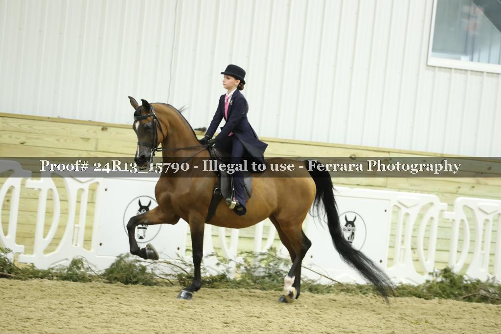 Proof 24R13_15790