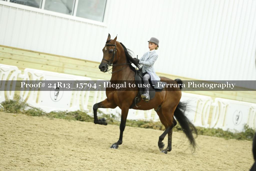 Proof 24R13_15794