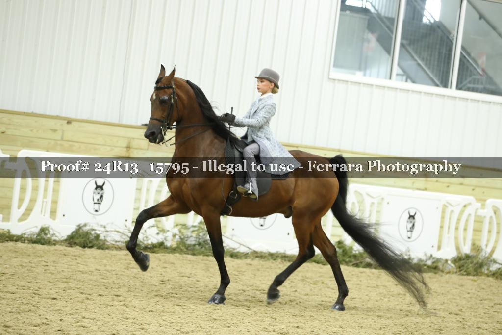 Proof 24R13_15795