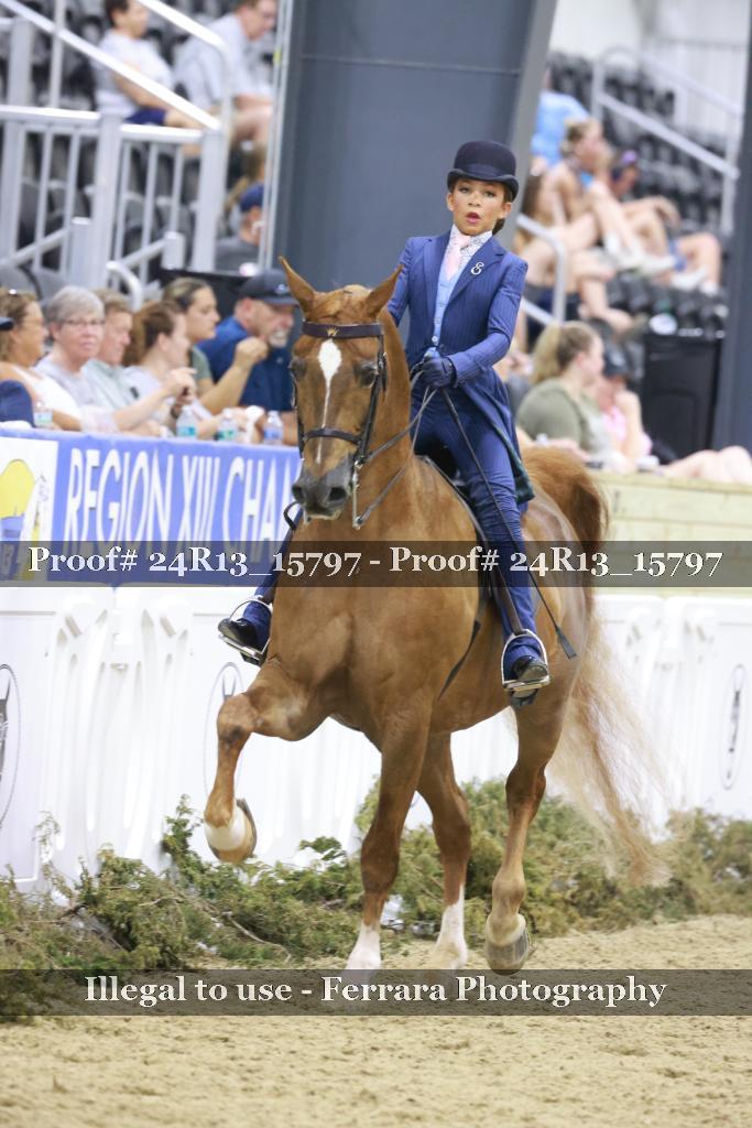 Proof 24R13_15797