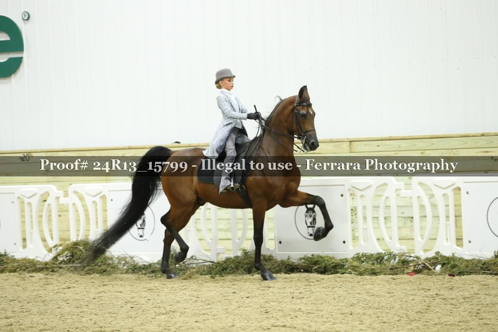 Proof 24R13_15799