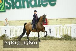 24R13_15801 proof