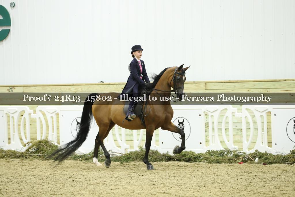 Proof 24R13_15802