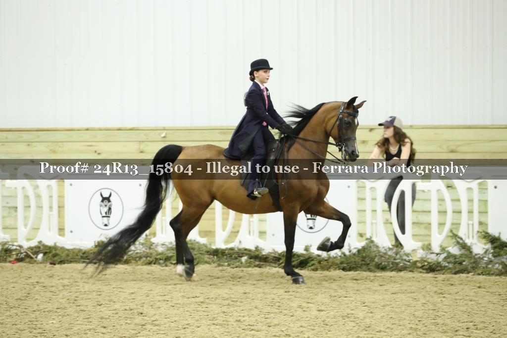 Proof 24R13_15804