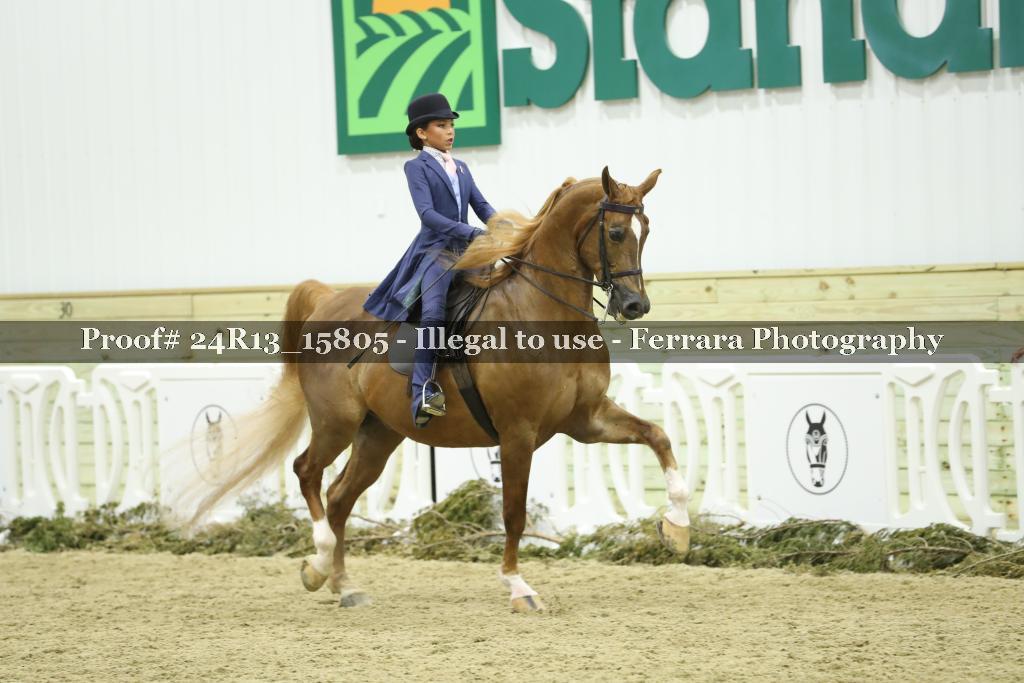 Proof 24R13_15805