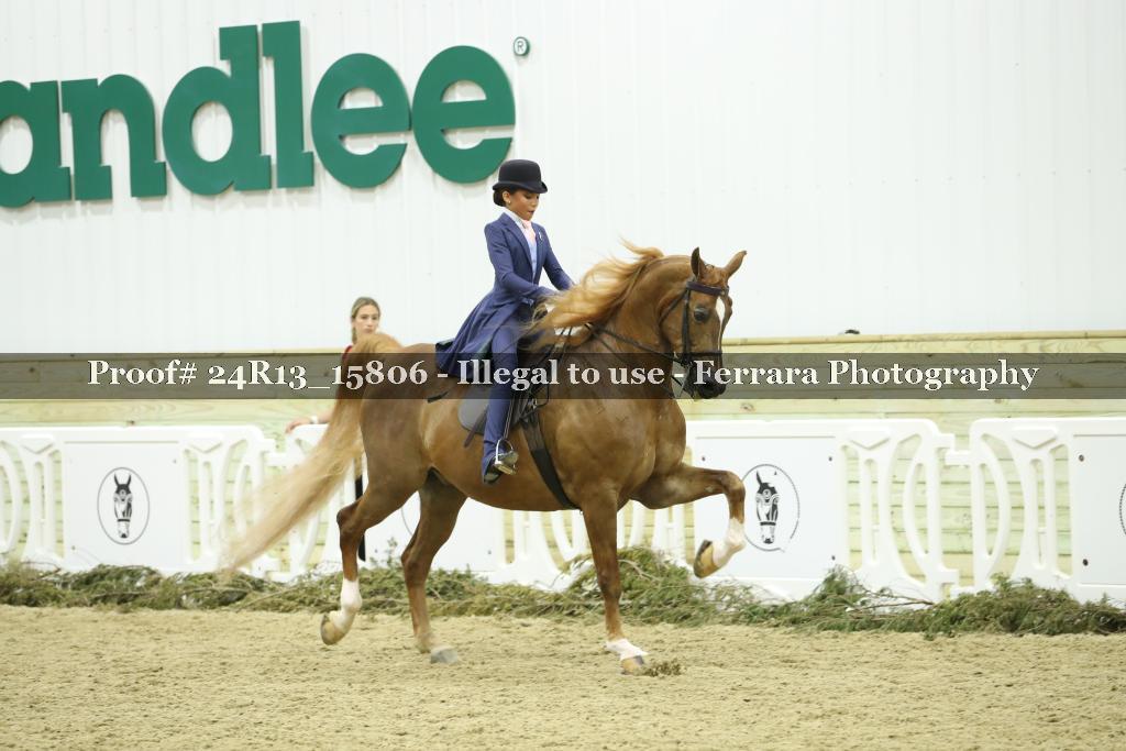 Proof 24R13_15806