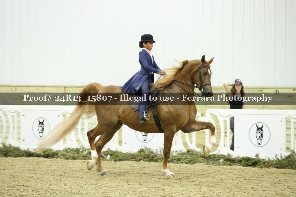 Proof 24R13_15807