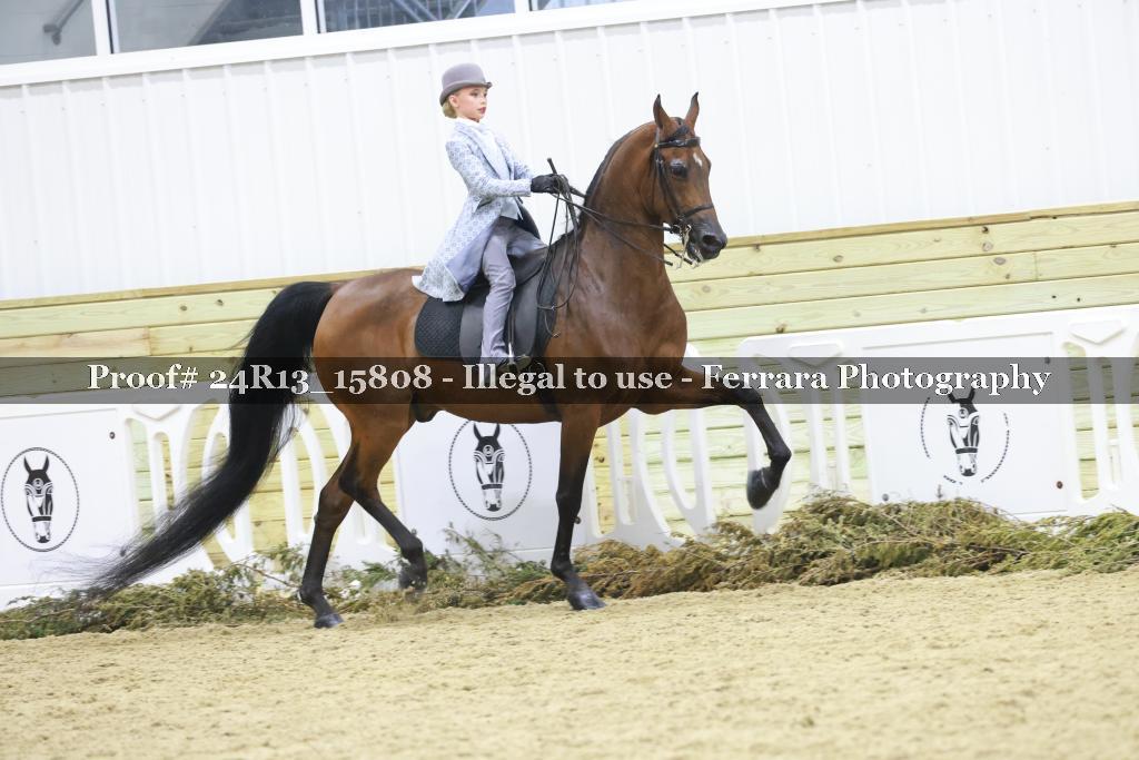 Proof 24R13_15808