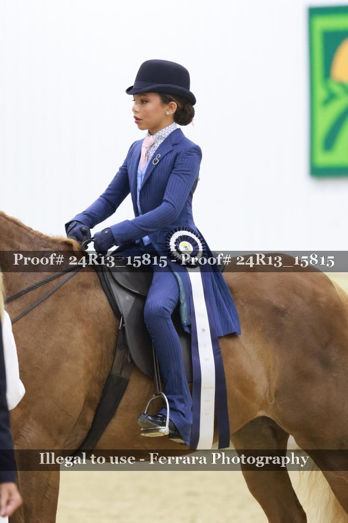 Proof 24R13_15815