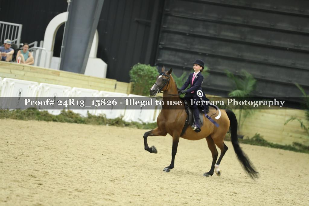Proof 24R13_15826