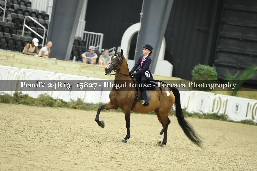 Proof 24R13_15827