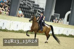 24R13_15828 proof