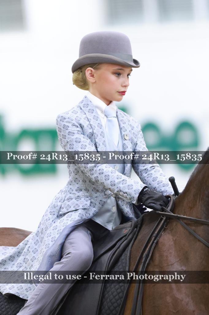 Proof 24R13_15835