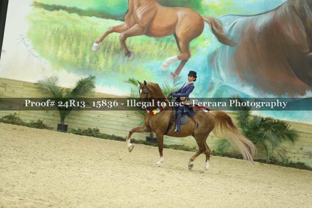 Proof 24R13_15836